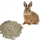 Комбикорм для кроликов и других грызунов