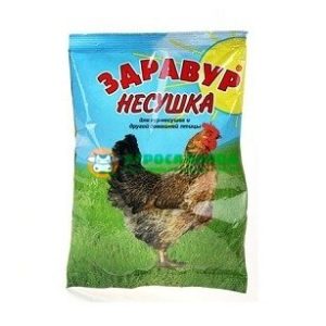 Здравур несушка