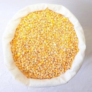 Зерно кукуруза мешок