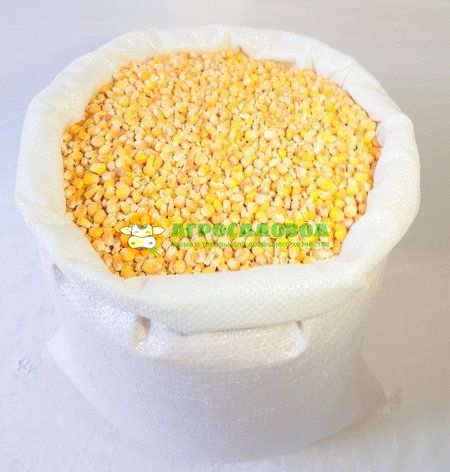 Кукуруза в мешках. Купить семена кукурузы в интернет-магазине Agrosadovod.ru
