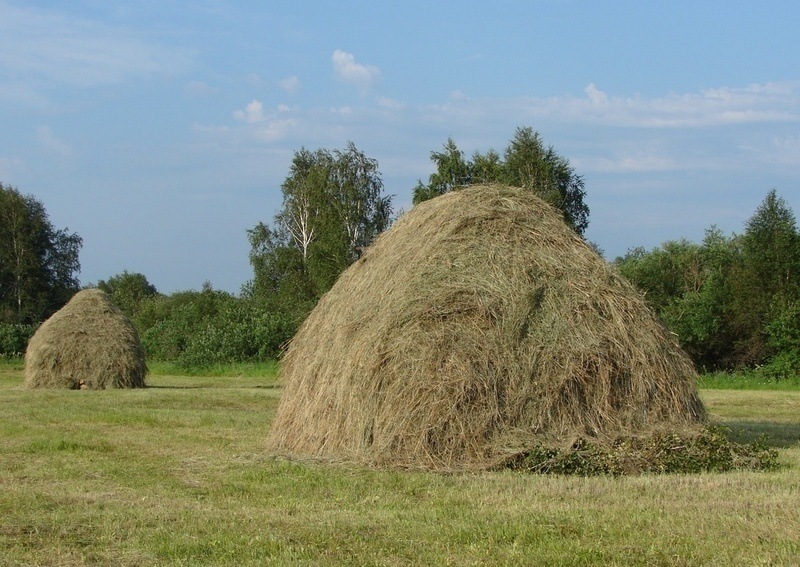 Стог сена в аренду